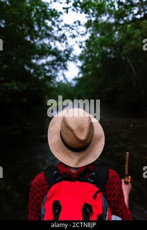 Rückansicht des anonymen Wanderers mit Rucksack, der auf dem Trail steht In dunklen Wäldern im Sommer Abenteuer Stockfoto