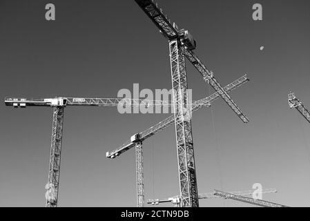 Mehrere Baukräne auf einer Baustelle in schwarz und Weiß Stockfoto