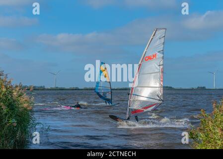 Surfen am Bottschlotter See oder am Bottschlott See in den Sümpfen, Dagebüll, Nordfriesland, Bundesland Schleswig-Holstein, Norddeutschland Stockfoto