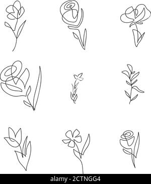 Satz von Vektor eine Linie Blumen. Minimalistische Linienkunst. Kontinuierliche Kontur von Hand gezeichnet. Einzeilige Kunstwerke für eine stilvolle Einrichtung an der Wand oder auf der Grußkarte Stock Vektor