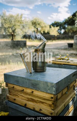 Metallbienenraucher auf hölzernen Bienenstock in Bienenhaus auf gelegt Sonniger Tag auf dem Land Stockfoto