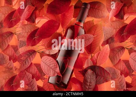 Eine Flasche roter Roséwein auf herbstlichen Hintergrund Von roten und orangen Blättern Stockfoto