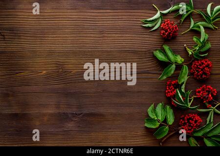 Wilde rote Beeren und Kräuter auf einer Tischansicht, Platz kopieren Stockfoto
