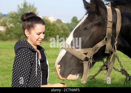 Das Mädchen streichelt und füttert das Pferd. Das Pferd grast auf einer grünen Wiese. Stockfoto