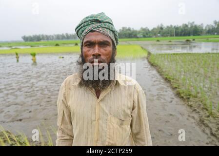 Ein Bauer posiert für ein Bild auf einem Reisfeld im Jamalpur District, Bangladesch, am 24. September 2020. Stockfoto