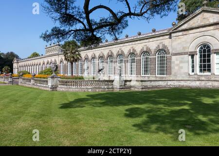 Orangerie, Margam Country Park Stockfoto