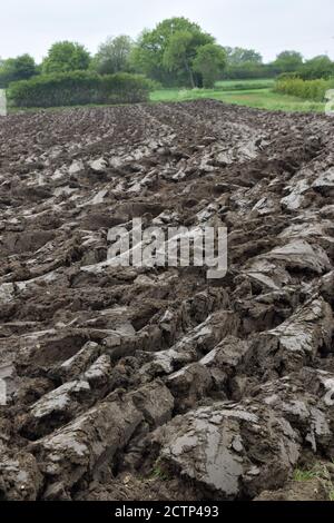 Gepflügte Feld im Frühjahr Stockfoto