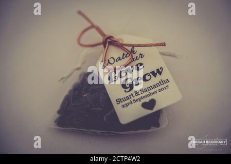 Wunderschönes Hochzeitsdekor Stockfoto