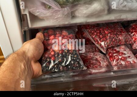 Eisige Beeren für den Winter. Verpackte gefrorene Beeren in Plastiktüten. Im Gefrierschrank. Stockfoto