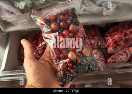 Eisige Beeren für den Winter. Verpackte gefrorene Beeren in Plastiktüten. Im Gefrierschrank. Stockfoto