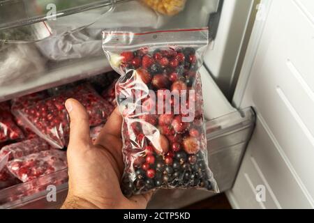 Eisige Beeren für den Winter. Verpackte gefrorene Beeren in Plastiktüten. Im Gefrierschrank. Stockfoto