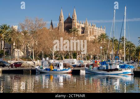 Catedral de Palma desde Moll de la Riba, Palma, mallorca, islas baleares, españa, europa Stockfoto