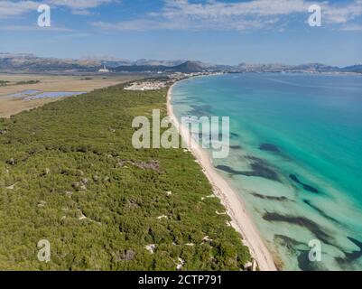 Es Comú, Àrea Natural d'Especial Interès, im Naturpark von s'Albufera, Muro, bahía de Alcúdia, Mallorca, Balearen, Spanien Stockfoto