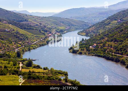 Portugal. Weinberge entlang des Douro Flusses zwischen Paso da Regua und Pinhao. Die Weinregion Alto Douro ist ein UNESCO-Weltkulturerbe. Stockfoto