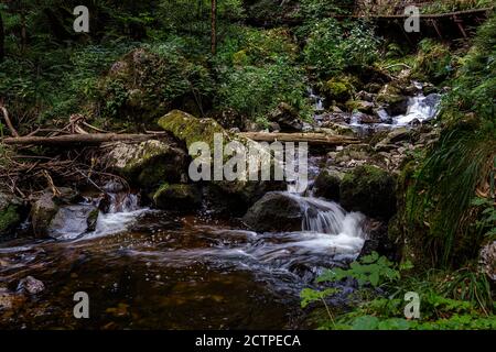 Ravennschlucht, im Schwarzwald in Deutschland gelegen. Durch die schöne Schlucht fließt ein schöner Fluss und haben viele Wasserfälle mit moosigen Steinen Stockfoto