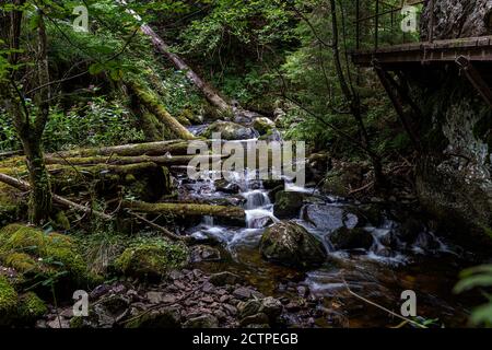 Ravennschlucht, im Schwarzwald in Deutschland gelegen. Durch die schöne Schlucht fließt ein schöner Fluss und haben viele Wasserfälle mit moosigen Steinen Stockfoto