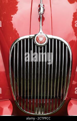 Kühlergrill und Motorhaube eines roten Jaguar XK150. Stockfoto