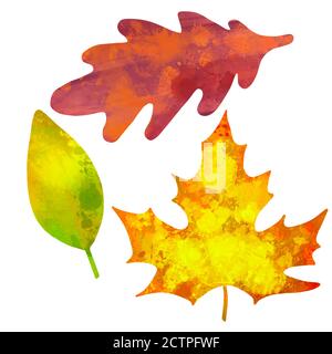 Aquarell Zeichnung Herbst bunte Blätter isoliert auf weiß Stockfoto