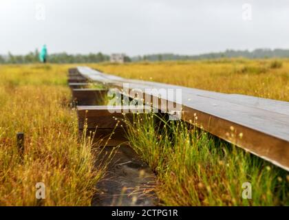 Regnerischer und düsterer Tag im Sumpf, Holzbrücke über den Sumpf-Graben, verschwommenes Sumpf-Gras und Moos im Vordergrund, nebliger und regnerischer Hintergrund, aut Stockfoto