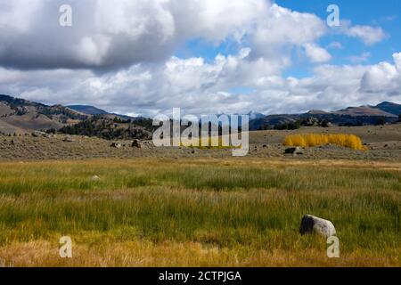 Blick auf eine Wiese im Lamar Valley im Herbst, Yellowstone Nationalpark. Stockfoto