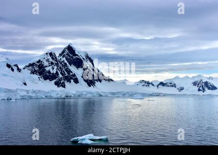 Gletscherbedeckte Elefanteninsel, Antarktis. Stockfoto