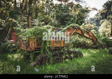 Inanam, Sabah, Malaysia: Mutter Natur schlägt zurück. Eine überwuchert Baumaschine. Stockfoto