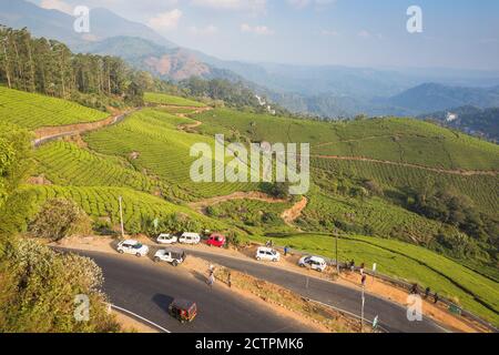 Indien, Kerala, Munnar, Straße schlängelt sich durch Munnar Tee Anwesen Stockfoto