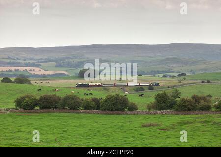 Der 'The Staycation Express' Zug fährt durch Waitby auf der landschaftlich schönen Setzen Sie sich auf Carlisle Eisenbahnlinie gezogen von der Baureihe 37 Lokomotive 37521 Stockfoto