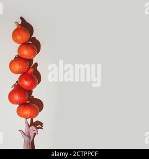 Balancing orange Kürbisse auf einer Hand. Ein Konzept zum Thema Halloween. Stockfoto