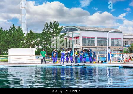 yokohama, japan - juli 19 2020: Gruppe von jungen Menschen, die mit Delfinen in der Fureai Lagune des Vergnügungsparks von Yokohama Hakkeijima Meer interagieren Stockfoto