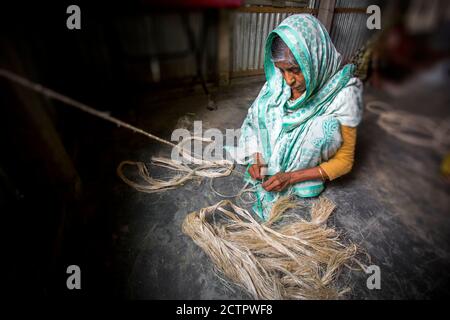 Eine alte Frau macht in Madhupur, Tangail, Bangladesch, ein Seil aus den Bananenbaumfasern in ihren dünnen Händen. Stockfoto