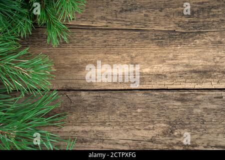 Weihnachtshintergrund aus frischen Kiefernästen auf einem natürlichen Holzhintergrund. Stockfoto