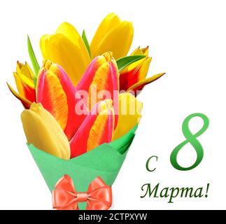 Gelbe Tulpen isoliert auf weißem Hintergrund Stockfoto