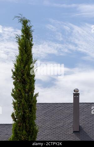 Hoher Kamin auf dem Dach mit Schieferfliesen neben einem Baum Stockfoto