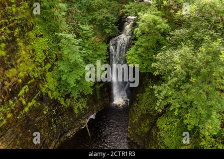 Hoher Wasserfall in einem engen Canyon umgeben von grünem Laub (Sgwd Dinion Gam, Waterfall Country, Wales) Stockfoto