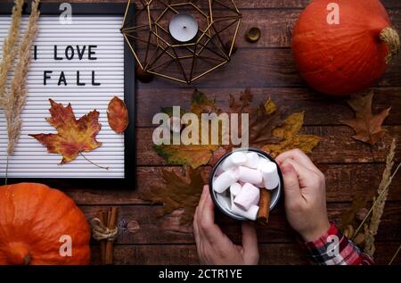 Frau Hände halten heißen Kakao mit Marshmallows und Zimt auf Holztisch Stockfoto