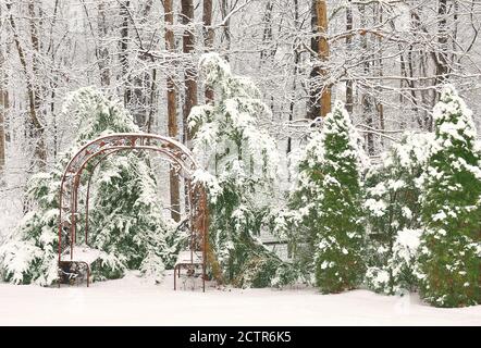 Winterschneeszene einer Gartenlaube, umgeben von immergrünen Nadelbäume Stockfoto