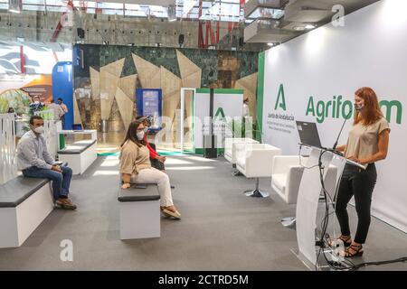 24. September 2020: 24. September 2020 (Malaga) die dritte Ausgabe des Smart Agrifood Summit Malaga, eine Veranstaltung, die sich in den Agenden der Agrar- und Ernährungswirtschaft als Schlüsselveranstaltung positioniert hat, beginnt. Dieses Format ist zum Treffpunkt geworden, an dem technologische Innovationen und die Entwicklung der Branche zusammenkommen, um neue Zukunftsstrategien für den Primärservice zu diskutieren. Diese Ausgabe, gekennzeichnet durch den Kampf gegen die Pandemie, hat bedeutet, dass das Format neu erfunden wird, und hat bedeutet, dass die Organisation dieses Ereignisses Hybrid ist, sowohl von Angesicht zu Angesicht als auch telematisch. (Bild: © Lorenzo Carne Stockfoto