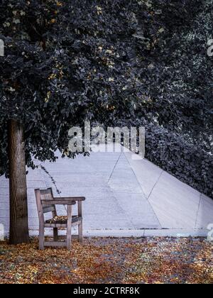 Holzbank unter dem Baum mit fallenden Blättern im Herbst. Minimalkonzept. Stockfoto