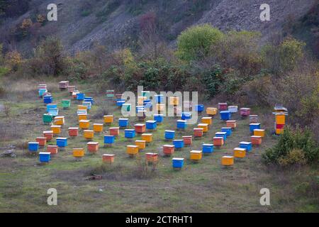 Bienenstöcke in den Bergen nahe der Grenze zu Armenien sind mit den Jahreszeiten bewegt, um bessere Blumen in Berg Karabach zu finden. Stockfoto