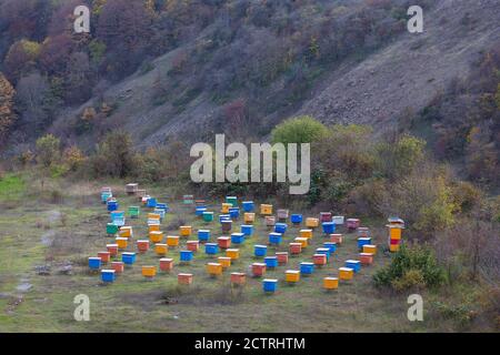 Bienenstöcke in den Bergen nahe der Grenze zu Armenien sind mit den Jahreszeiten bewegt, um bessere Blumen in Berg Karabach zu finden. Stockfoto