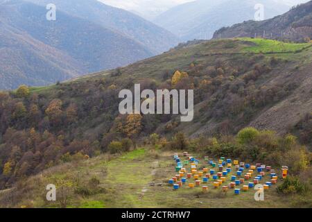 Bienenstöcke in den Bergen nahe der Grenze zu Armenien sind mit den Jahreszeiten bewegt, um bessere Blumen in Berg Karabach zu finden. Stockfoto