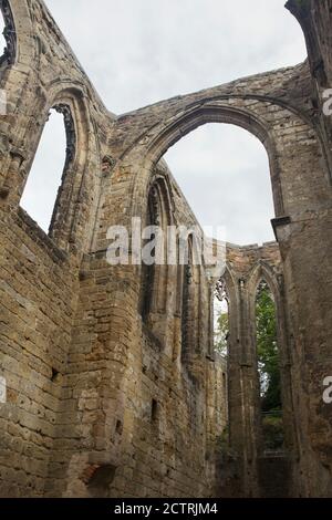 Romantische mittelalterliche Ruinen der ehemaligen Klosterkirche im Kloster Oybin in Sachsen. Stockfoto