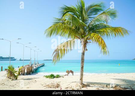 Nahaufnahme von Palmen mit Blick auf das karibische Meer auf der Insel St. maarten. Stockfoto