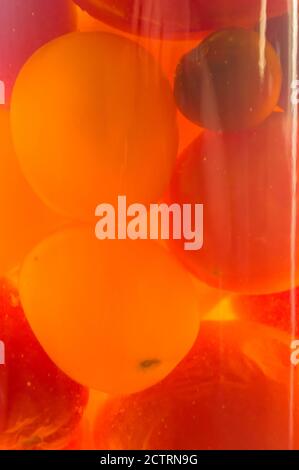 Bunte eingelegte Tomaten in einem Glas, Nahaufnahme Stockfoto
