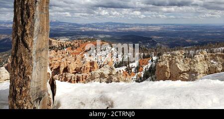 Bryce Canyon in UTAH Stockfoto