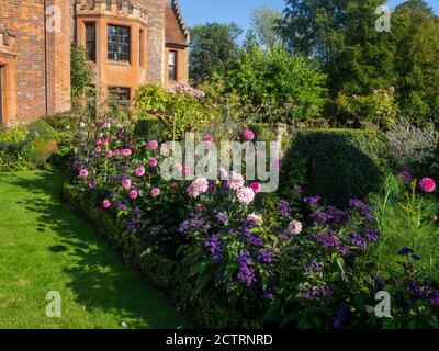 Chenies Herrenhaus und Garten im September.Bunte Dahlien, krautigen Pflanzengrenzen.Dahlia 'Sandra', Dahlia Karma Prospero.Schatten auf dem Rasen. Stockfoto