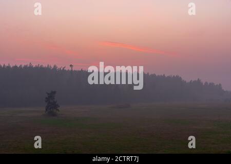 Rauch aus Waldbränden in Oregon erzeugt eine ungesunde Luftqualität in Washington Stockfoto