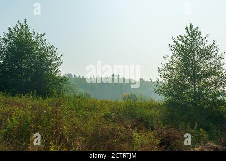 Rauch aus Waldbränden in Oregon erzeugt eine ungesunde Luftqualität in Washington Stockfoto