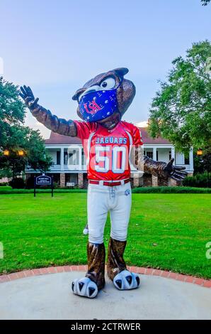 Das Maskottchen der University of South Alabama, der jaguar, trägt eine Maske, um COVID-19, 22. August 2020, in Mobile, Alabama zu verhindern. Stockfoto